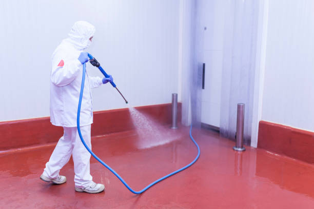 Best Driveway Cleaning and Restoration in Pearl River, LA